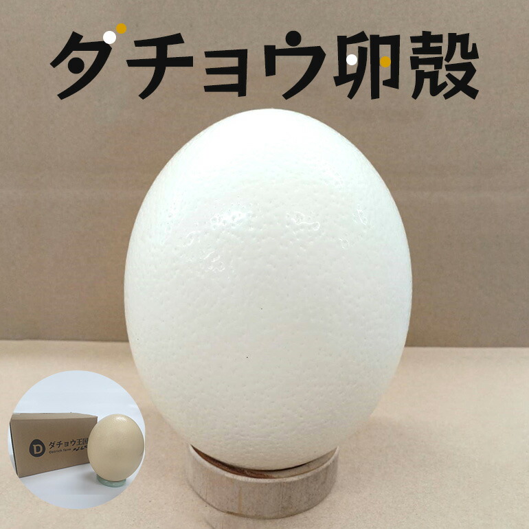 楽天市場】国産 ダチョウの卵殻 工芸品用 （北海道・沖縄・離島配送