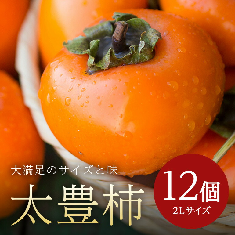 【ふるさと納税】【 2025年 先行予約 】 太豊柿 2L 12玉 （鈴木柿園） 柿 甘い柿 糖度高い 太豊かき 大玉 カキ 甘い 果物 フルーツ くだもの かき 秋 旬 甘柿 贈答用 贈答品 ギフト 贈り物 品種 ブランド 発送 産地直送 農家直送 産直 茨城県 石岡市 (A08-007)