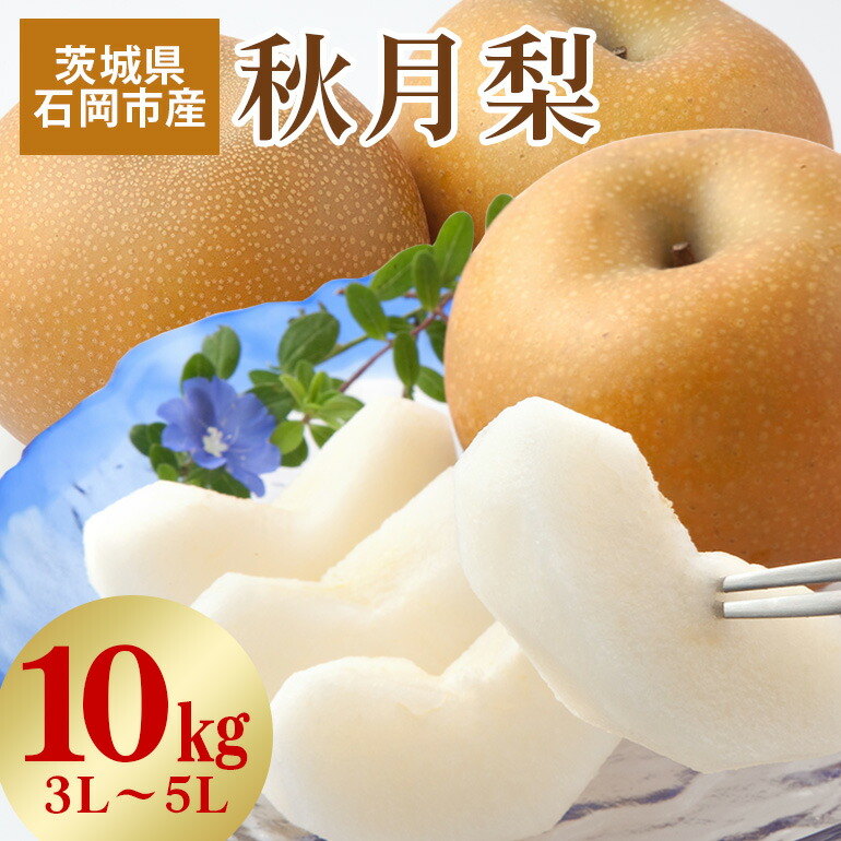 【ふるさと納税】【 2025年 先行予約 】 秋月梨　3L～5L（二段10kg）梨 約 20玉 ～ 28玉 品種 秋月 あきづき なし ナシ 果物 フルーツ 大玉 3L 4L 5L サイズ 10キロ 9月 10月 発送 秋 旬 産地直送 農家直送 産直 国産 くだもの 甘い 茨城県産 石岡市 送料無料 (A15-004)