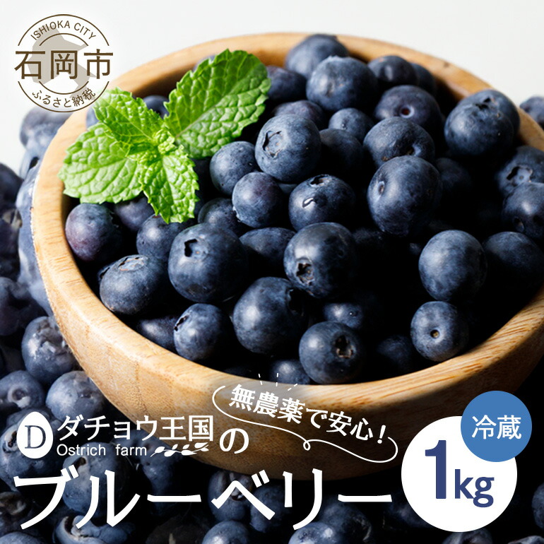 【ふるさと納税】【 2025年 先行予約 】 フレッシュ ブルーベリー 1kg ダチョウ王国産 ( 500g 2パック ) 生 品種 お任せ 新鮮 完熟 冷蔵 農薬 栽培期間中 不使用 1キロ 果物 フルーツ 国産 産地直送 農家直送 夏 6月 7月 8月 発送 くだもの 茨城県 石岡市 送料無料 (C05-001)