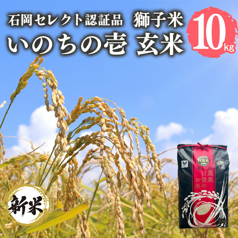 【ふるさと納税】【令和6年産】獅子米 いのちの壱 玄米 10kg 岡田ファーム コンテスト受賞米 お米 米 おこめ ブランド米 10キロ 国産 コメ こめ ご飯 茨城県産 茨城 産直 産地直送 農家直送 ごはん 家庭用 贈答用 お取り寄せ 送料無料 (B02-019)