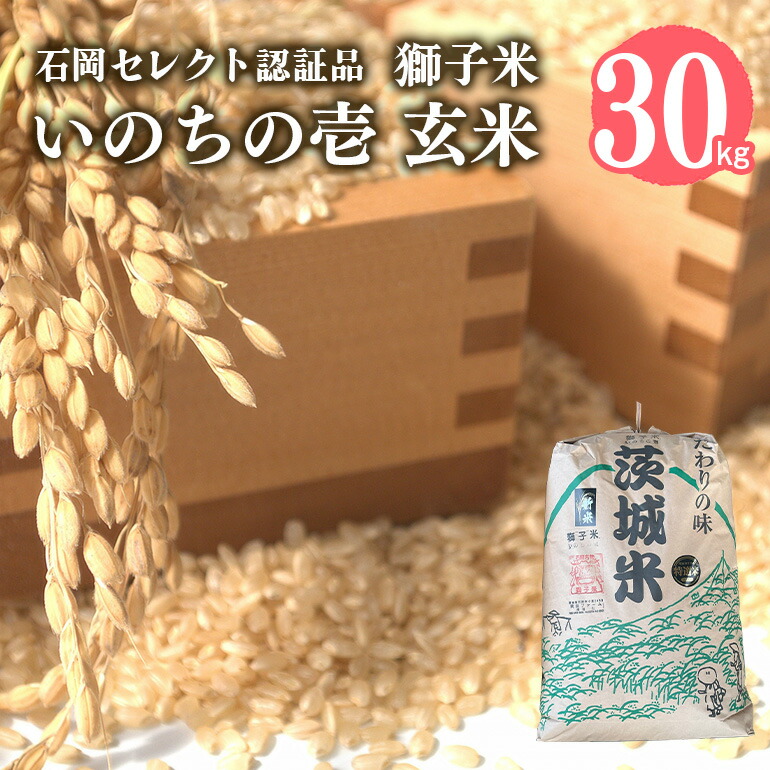 【ふるさと納税】【令和6年産】獅子米 いのちの壱 玄米 30kg 岡田ファーム コンテスト受賞米 お米 米 おこめ ブランド米 30キロ 国産 コメ こめ ご飯 茨城県産 茨城 産直 産地直送 農家直送 ごはん 家庭用 贈答用 お取り寄せ 送料無料 (B02-020)