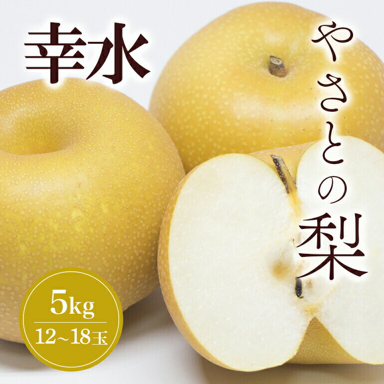 【ふるさと納税】【 2026年 先行予約 】 筑波山麓やさとの梨 ( 幸水 ) 5kg ( 1２玉 ～ 18玉 ) 梨 なし ナシ 果物 フルーツ 品種 幸水梨 2L L サイズ 5キロ 産地直送 農家直送 産直 国産 くだもの 甘い 酸味 ギフト 贈答用 家庭用 茨城県産 茨城県 石岡市 (A25-001)
