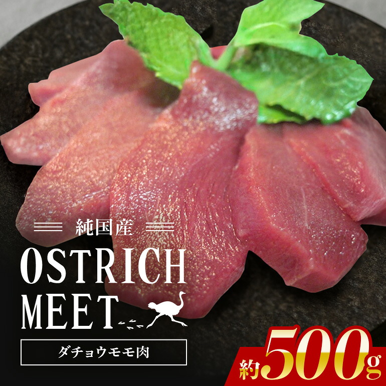 【ふるさと納税】 ダチョウ モモ肉 約500g ダチョウ肉 赤身肉 ヘルシー 低脂肪 低カロリー 高たんぱく質 鉄分 豊富 真空パック 上質 抗生物質不使用 成長ホルモン不使用 国産 ダイエット 健康志向 グルメ ギフト 産地直送 (C05-005) 10,360円