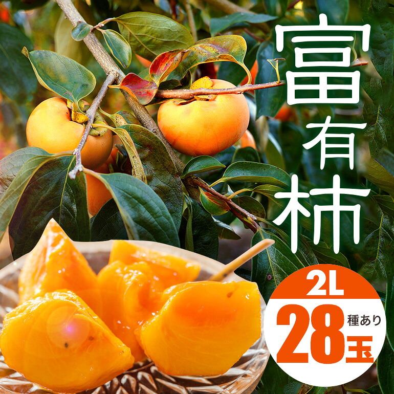 【ふるさと納税】【 2026年 先行予約 】 富有柿 2L 28玉 (14玉×2段箱) 坂川果樹園 柿 甘い柿 かき 富有カキ 甘い 果物 フルーツ くだもの カキ 富有かき 秋 旬 糖度 贈答用 贈答品 ギフト 贈り物 品種 11月 12月 発送 産地直送 農家直送 茨城県 石岡市 送料無料 (A20-002)|茨城県石岡市