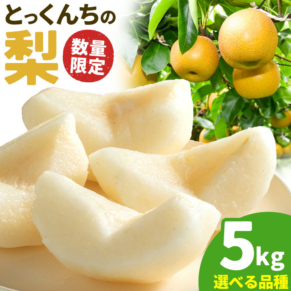 【ふるさと納税】【2025年先行予約】とっくんちの梨 選べる 品種 幸水 豊水 あきづき にっこり 約5kg 鈴木農園《8月上旬-10月中旬頃出荷(品種による)》茨城県 結城市 数量限定 果物 フルーツ 甘み ジューシー 豊か 芳香 しゃりっ 爽やかな 季節【配送不可地域あり】