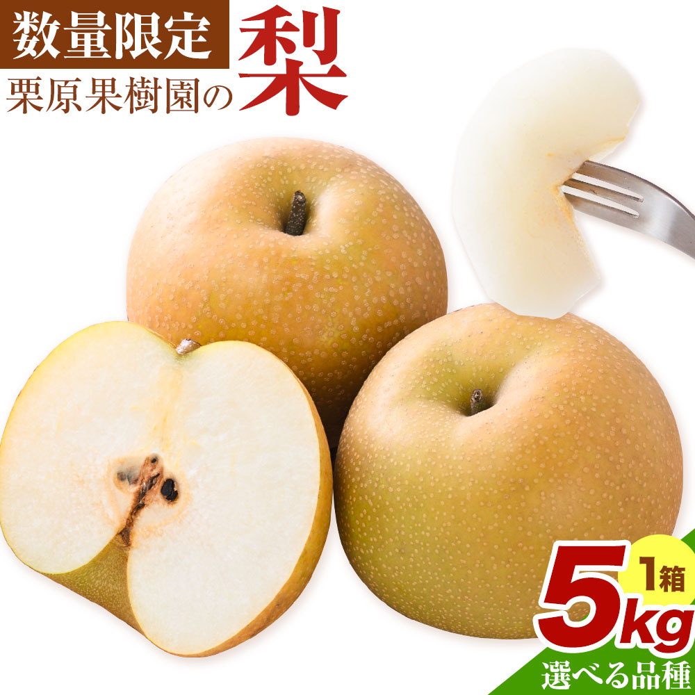 【ふるさと納税】【先行予約】栗原果樹園 梨 5kg 選べる 出荷時期 品種 幸水 豊水 恵水 あきづき 新高 甘太 《お届け時期をお選びください》茨城県 結城市 なし 梨 フルーツ 旬 果物 【配送不可地域あり】