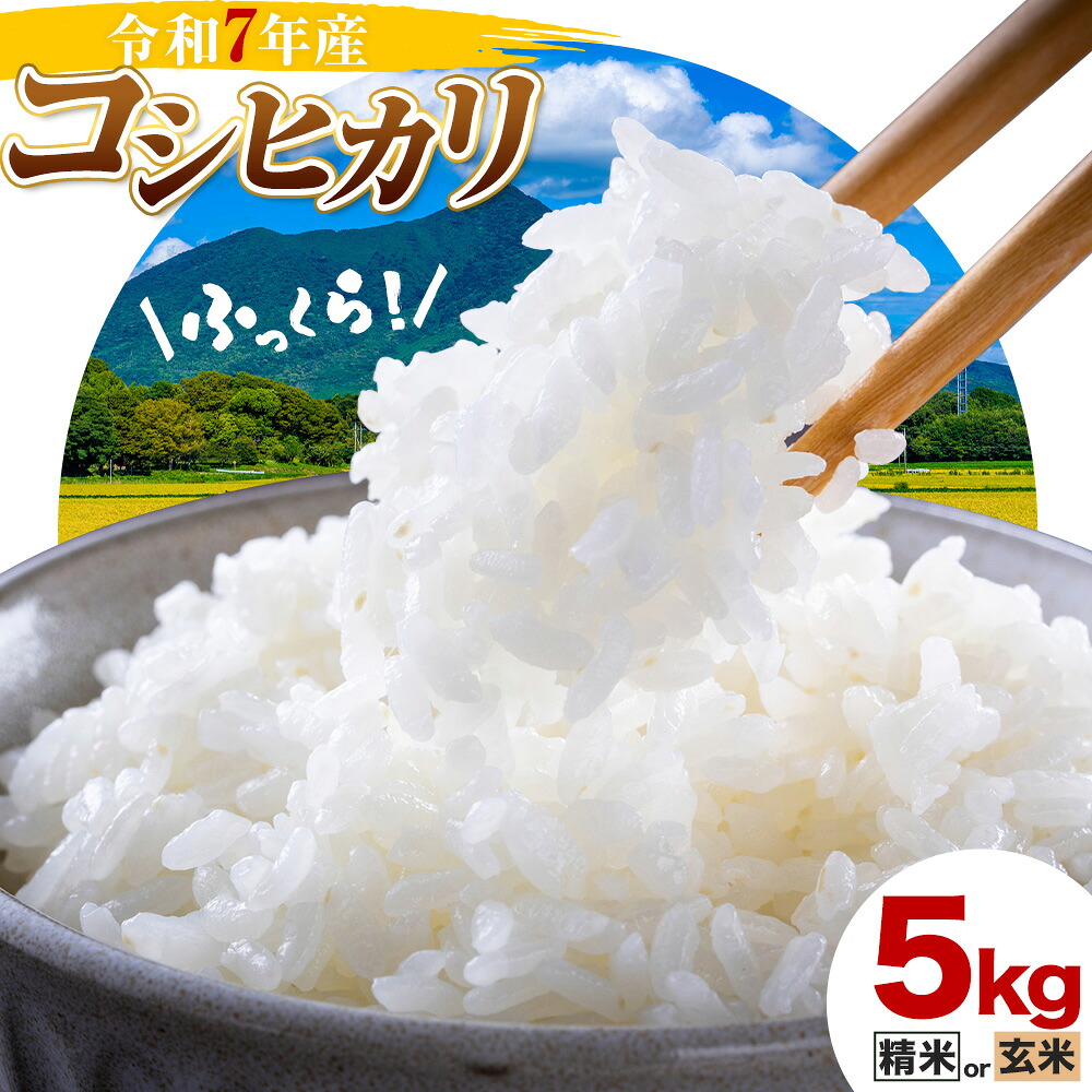 【ふるさと納税】米 令和7年産 こしひかり コシヒカリ 白米 玄米 5kg アッシーリス 株式会社ヤマナカ《30日以内に出荷予定(土日祝除く）》茨城県 結城市 こめ お米 ご飯 鬼怒川 精米｜茨城県結城市