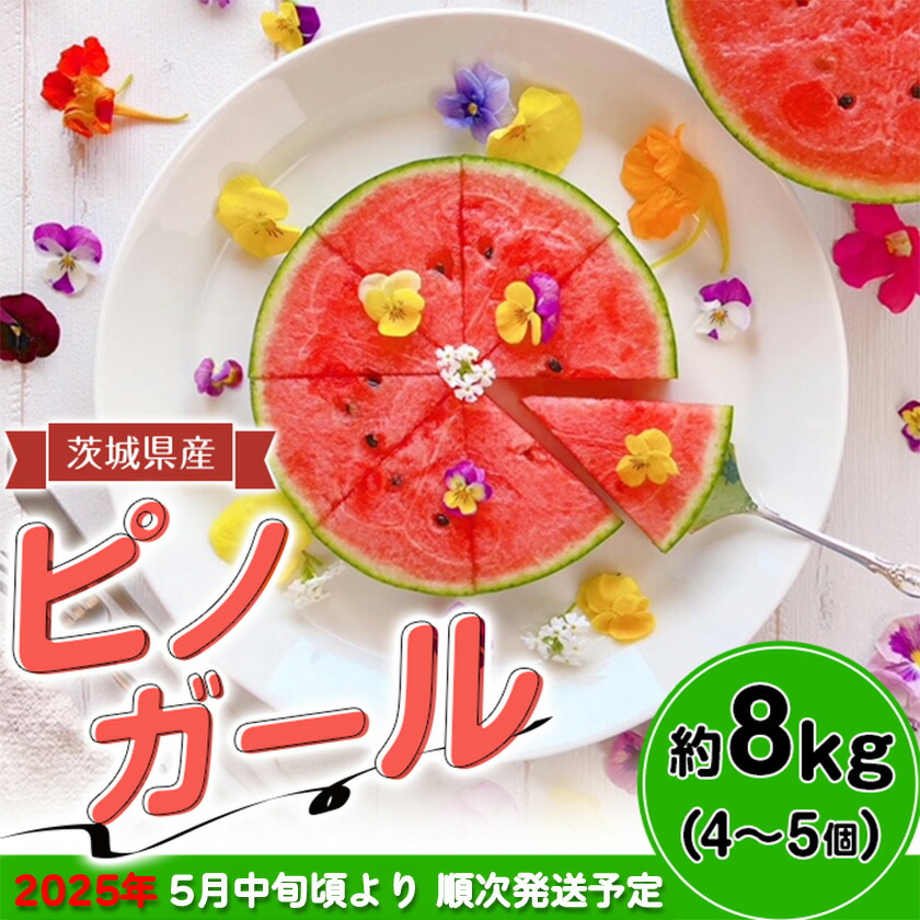 【ふるさと納税】茨城県産ピノガール約8kg（4～5個） 先行予約【2025年5月中旬～6月中旬ごろ発送予定】 茨城県産  フルーツ 果物 くだもの すいか スイカ 西瓜