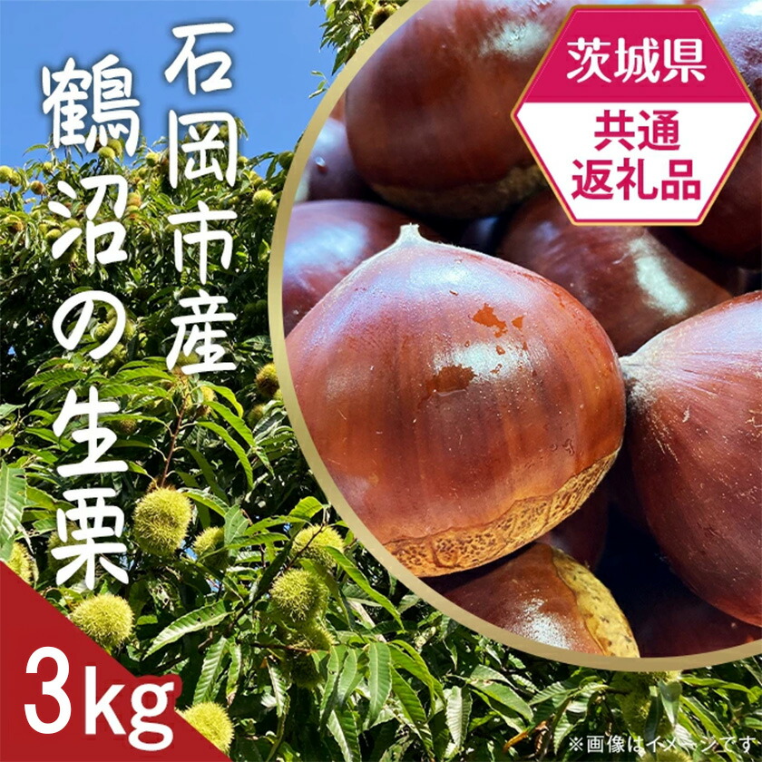 【ふるさと納税】【先行予約】【茨城県共通返礼品】石岡市産鶴沼の生栗約3kg【2025年9月中旬頃から発送予定】