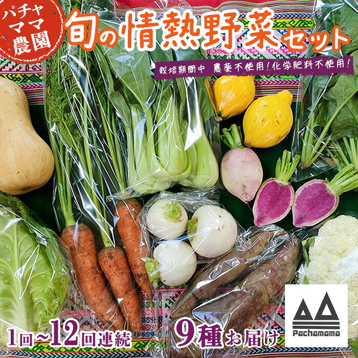 【ふるさと納税】【選べるお届け回数】農園自慢の情熱野菜セット（9品）【定期便 野菜 詰め合わせ お任せ 季節物 セット 山芋 パセリ かぶ 人参 たまねぎ 玉ねぎ ほうれん草 大根 レタス じゃがいも さつまいも とうもろこし キャベツ ピーマン なすトマト かぼちゃ】