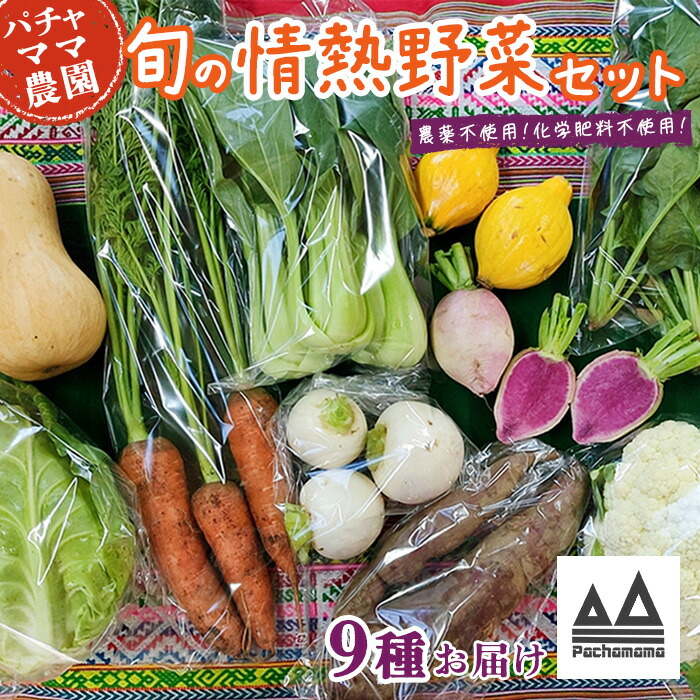 【ふるさと納税】農園自慢の情熱野菜セット（9品）
