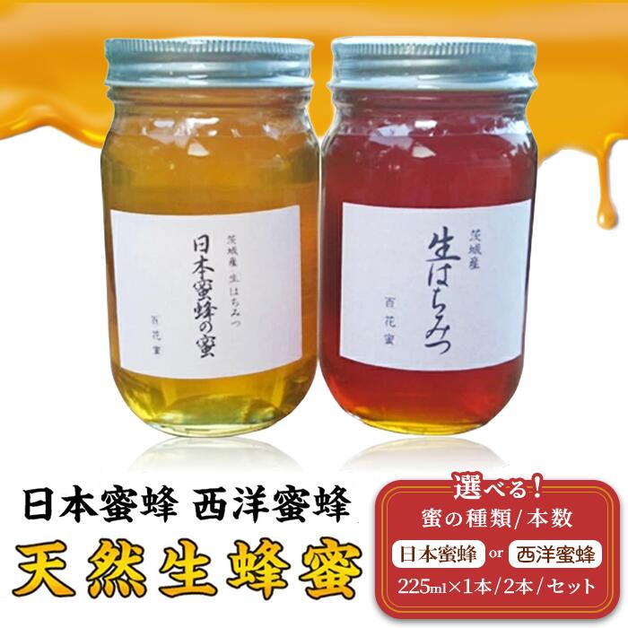 【ふるさと納税】【先行予約】【選べる種類・本数】はちみつ 国産 生はちみつ なま 生蜂蜜 生ハチミツ 天然生蜂蜜「日本蜜蜂」「西洋蜜蜂」 225ml × 1本 / 2本 / セット【2026年6月上旬から順次発送予定】|茨城県下妻市