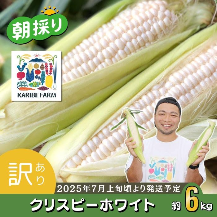 【ふるさと納税】【先行予約】【訳あり】下妻産朝採りとうもろこし（クリスピーホワイト）約6kg【2025年7月上旬～7月下旬ころ順次発送予定】【とうもろこし とうきび トウモロコシ 甘い スイーツ デザート クリスピーホワイト コーン 人気 野菜 新鮮 おすすめ】
