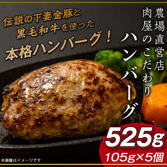 国内発送】 定期便 6回 肉 国産 豚肉 味噌漬け 味付け 28-7下妻名物