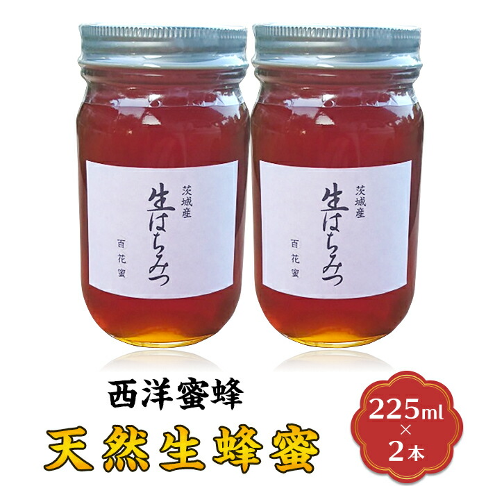 【ふるさと納税】【先行予約】はちみつ 国産 生はちみつ なま 生蜂蜜 生ハチミツ 天然生蜂蜜「西洋蜜蜂」225ml 2本 計450ml【2026年6月上旬から順次発送予定】