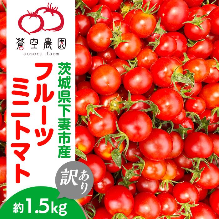 【ふるさと納税】【訳あり】フルーツミニトマト1.5kg【フードロス対策】