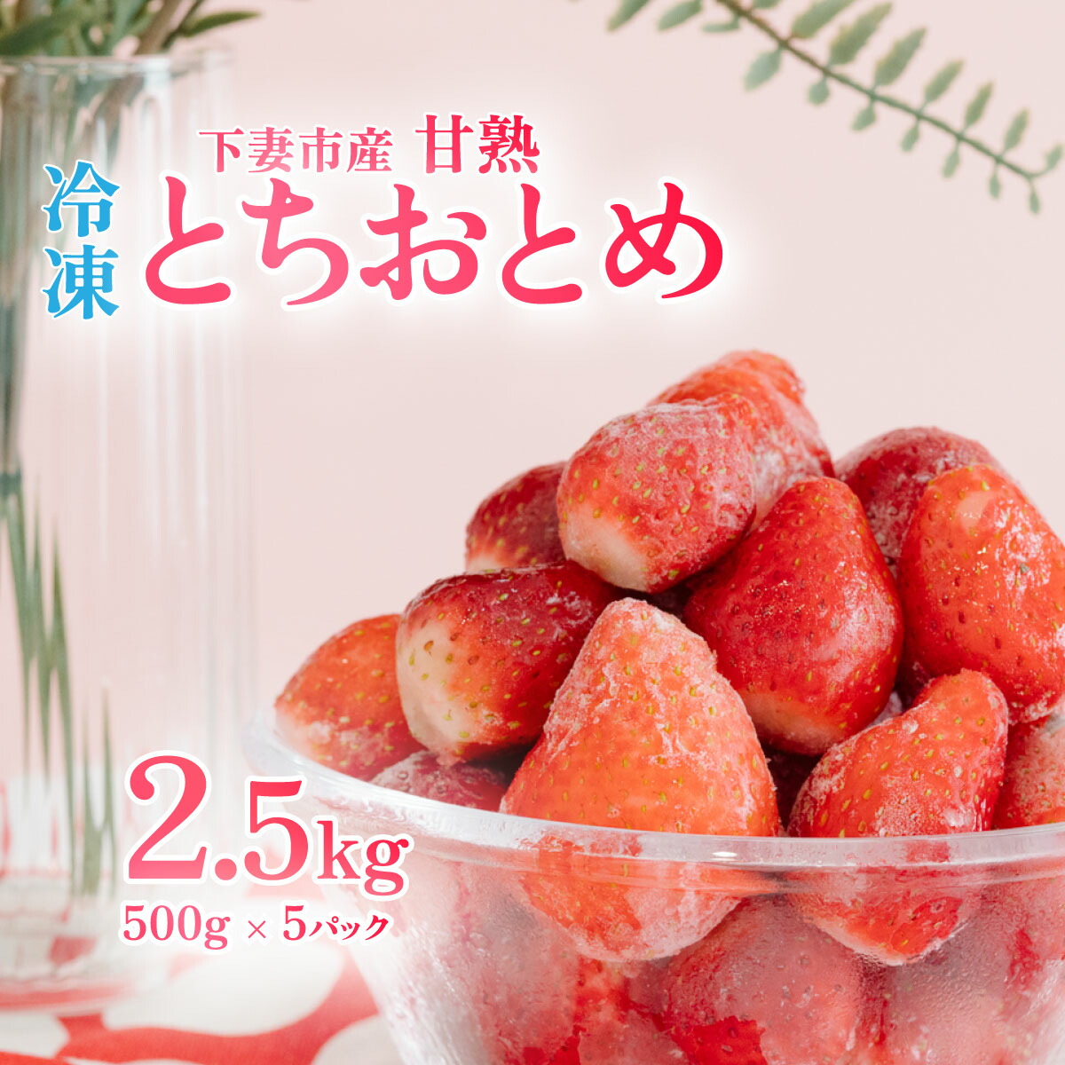 【ふるさと納税】【訳あり】 冷凍いちご 2.5kg (500g x 5)  先行予約 【2025年4月ごろ発送予定】 甘熟 完熟【凍眠冷凍】下妻市内のいちご生産者Ben’s Berry【いちご イチゴ 苺 とちおとめ 冷凍いちご 便利 甘熟 完熟 甘い ストロベリー 果物 フルーツ】