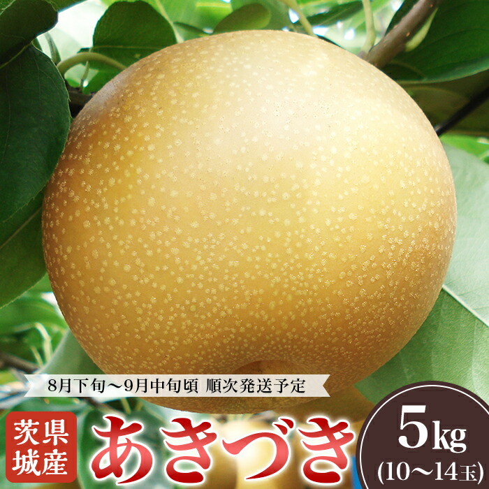 【ふるさと納税】【先行予約】【5月分 数量限定】2025年先行予約 茨城県産「あきづき」約5kg【2025年8月下旬～9月中旬にかけて発送予定】【 梨 果物 くだもの フルーツ 国産 季節限定 人気 贈り物 お取り寄せ デザート 】