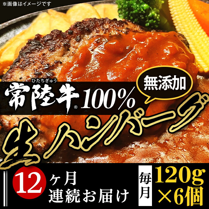 【ふるさと納税】定期便 12回 牛肉 黒毛和牛 常陸牛 ハンバーグ 冷凍 国産 贅沢 生ハンバーグ120g×6個【常陸牛】100％【12ヶ月連続お届け】