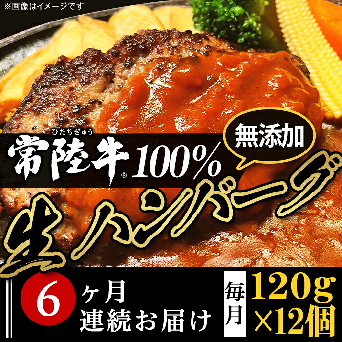 【ふるさと納税】定期便 6回 牛肉 黒毛和牛 常陸牛 ハンバーグ 冷凍 国産 贅沢 生ハンバーグ120g×12個【常陸牛】100％【6ヶ月連続お届け】