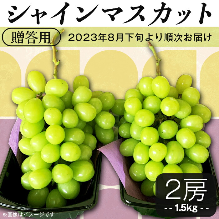 最新作 シャインマスカット2房 1 5kg 2kg 贈答用 Fucoa Cl