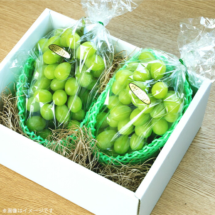 最新作 シャインマスカット2房 1 5kg 2kg 贈答用 Fucoa Cl