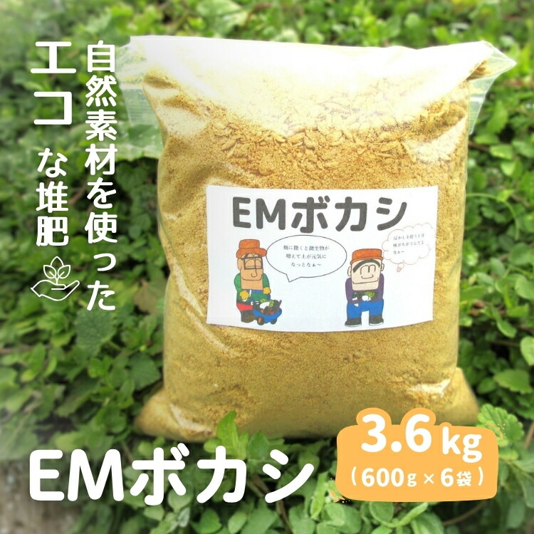 茨城県常総市 なつかしのおかし特集