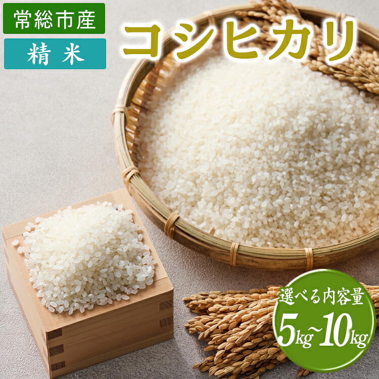 フランス 5Fプラチナ貨 プルーフ エッフェル塔百年記念 保管品 希少