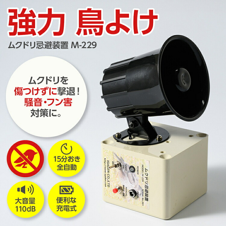 茨城県常総市 なつかしのおかし特集