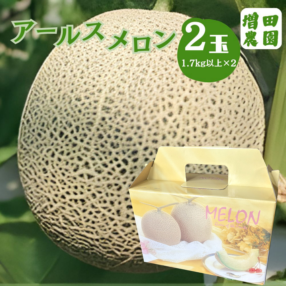 【ふるさと納税】【先行予約・9月中旬以降発送】増田さんちのアールスメロン2玉 1.7kg以上×2玉 ※沖縄・離島への配送不可 ※2025年9月中旬～10月中旬頃に順次発送予定 | くだもの 果物 フルーツ デザート めろん 常総市