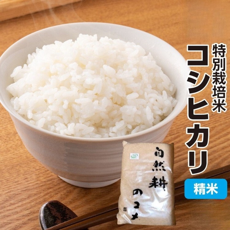 【専用品】コシヒカリ 古々米 令和5年産 茨城県白米箱込10キロ 楽天市場】産地直送 【令和6年産】 新潟産コシヒカリ 白米 10kg
