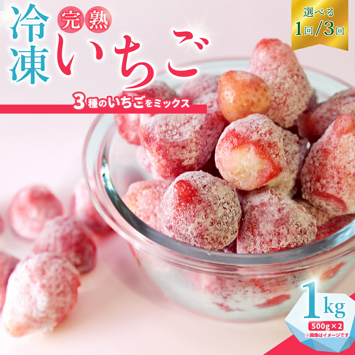 【ふるさと納税】冷凍いちご 1kg 500g×２袋 選べる配送 通常便 3カ月定期便 | 茨城県 常陸太田市 檜山いちご園 いちご 苺 フルーツ 冷凍 いばらキッス ひたち姫 やよい姫 おいしい 人気 お取り寄せ アレンジ スイーツ ジャム スムージー デザート プレゼント ギフト 贈答品