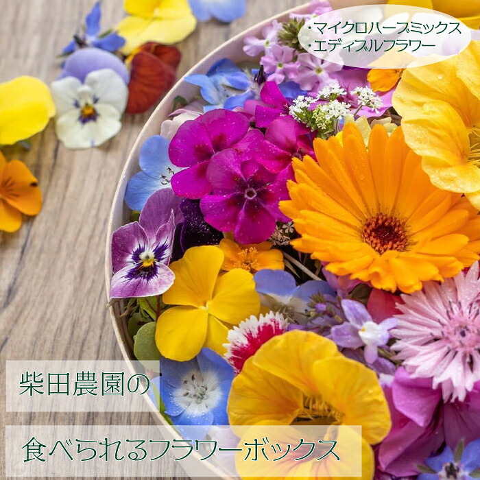 【ふるさと納税】食用 花 フラワーボックス エディブルフラワー ハーブ 塩 柴田農園 季節 マイクロハーブ 茨城県 高萩市 プレゼント ギフト 贈答用