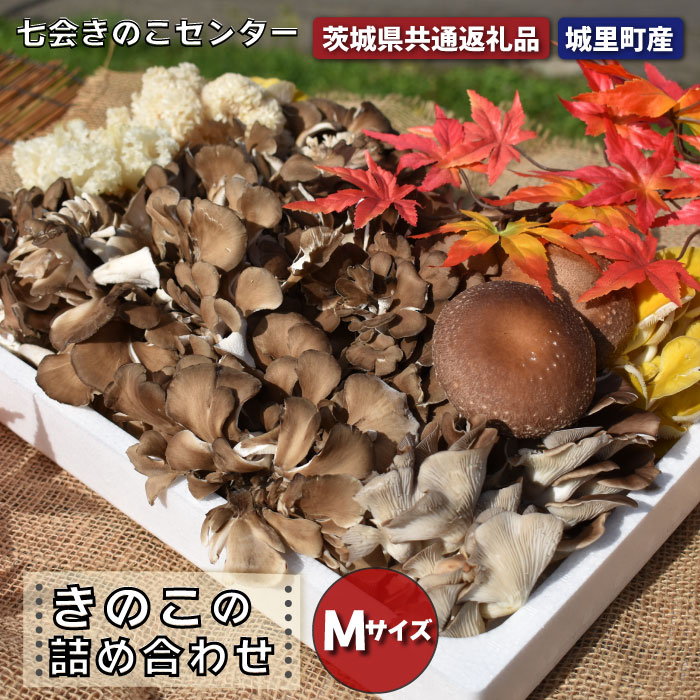楽天市場】【OMI(大見工業)】 六角軸スパイラルタケノコドリル