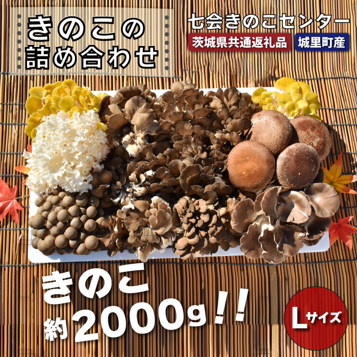 【ふるさと納税】きのこの詰め合わせ 　Ｌサイズ（茨城県共通返礼品・城里町産）  きのこ セット 詰め合わせ はなびら茸 幻のキノコ 七会きのこ生産組合 茨城県 高萩市