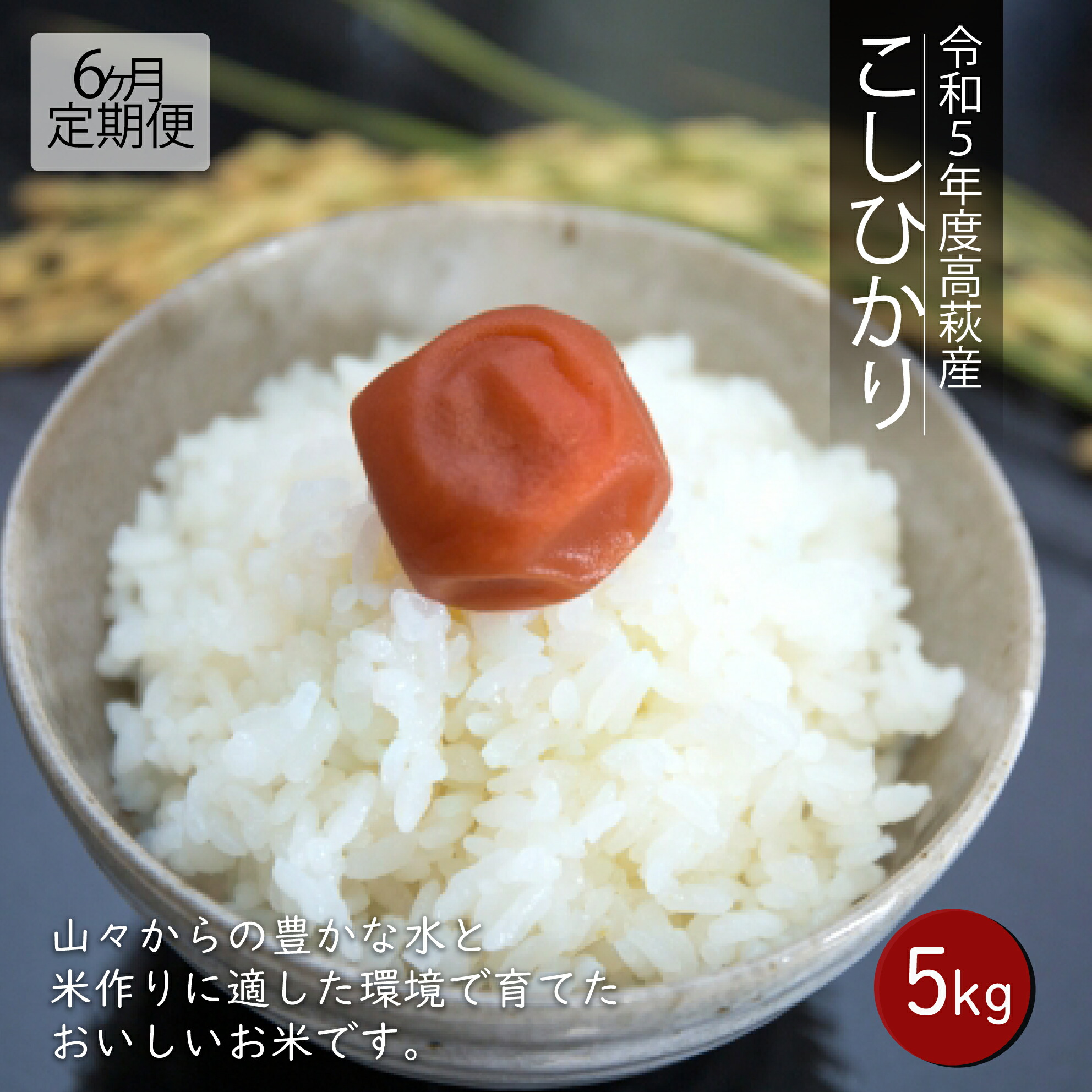 【ふるさと納税】【６ヶ月定期便】令和7年度 高萩産 コシヒカリ 5kg&times;6回｜茨城県高萩市