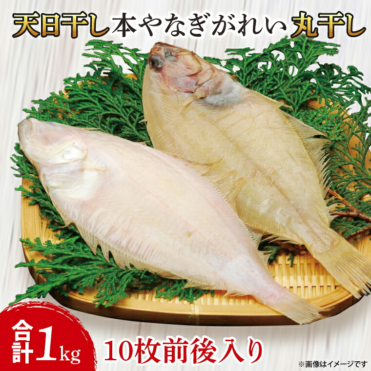 【ふるさと納税】天日干し 本やなぎがれい干し 1kg【カレイ かれい 干物 ひもの 魚 おかず おつまみ 食品 名物 冷凍 茨城県 北茨城市】（AI204）｜茨城県北茨城市