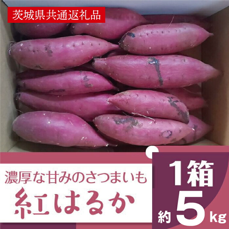 【ふるさと納税】【11月発送】濃厚な甘みさつまいも 紅はるか5kg（茨城県共通返礼品・行方市産）（AK101）
