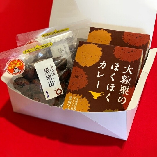 【ふるさと納税】あいきマロン 焼栗・カレーセット 化粧箱入り 焼栗 焼き栗 栗 国産 個包装 くり 和栗 カレー レトルト ギフト プレゼント 秋 旬 おやつ スイーツ 果物 フルーツ 茨城県 笠間市｜茨城県笠間市