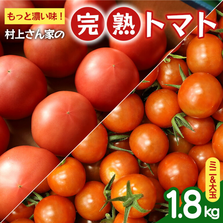 【ふるさと納税】もっと濃い味！村上さん家の完熟トマト（ミニ＆大玉）合計1.8kg