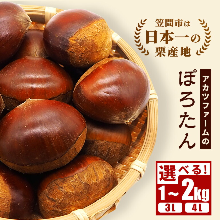 【ふるさと納税】【2026年 秋 先行予約】生栗 栗 ぽろたん 選べる サイズ(3L 4L) 内容量(1kg 2kg) 国産 国産栗 和栗 ギフト プレゼント 秋 旬 おやつ スイーツ 果物 フルーツ 焼き栗 栗ご飯 栗きんとん 栗おこわ アカツファーム 笠間 栗生産量 日本一 いばらき｜茨城県笠間市