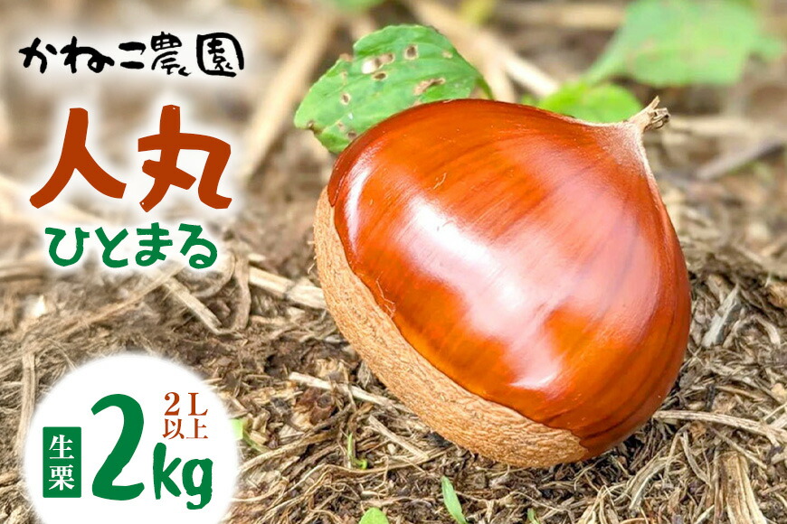 楽天ふるさと納税 第1位の商品画像