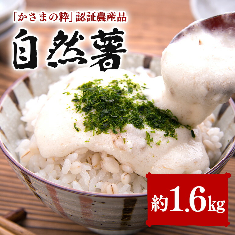 【ふるさと納税】 自然薯 約1.6kg 伊藤農園