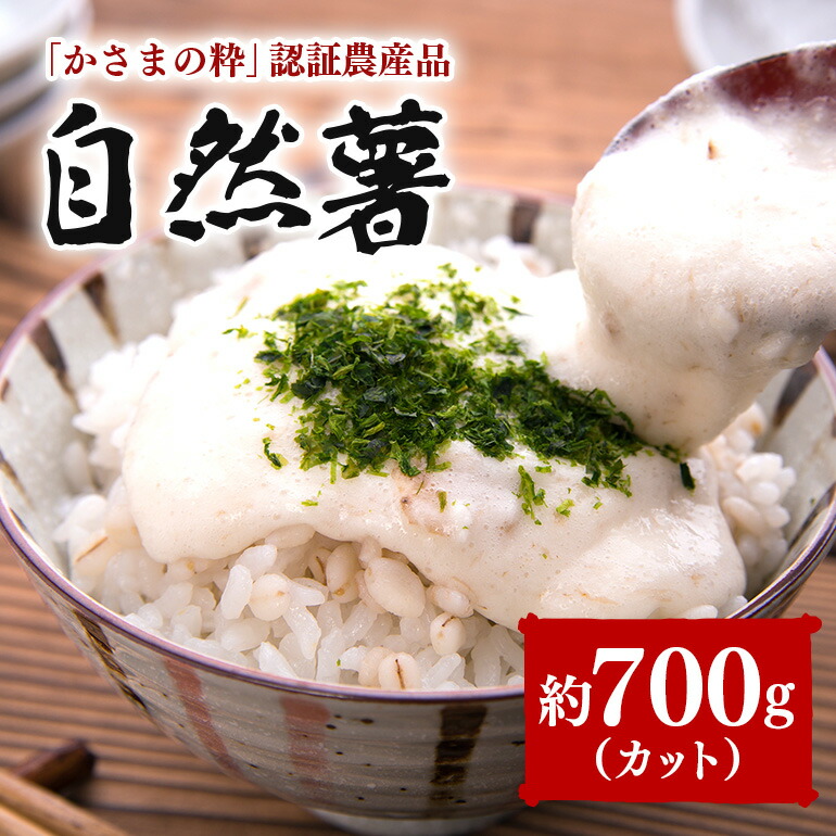 【ふるさと納税】自然薯 カット 約700g 伊藤農園