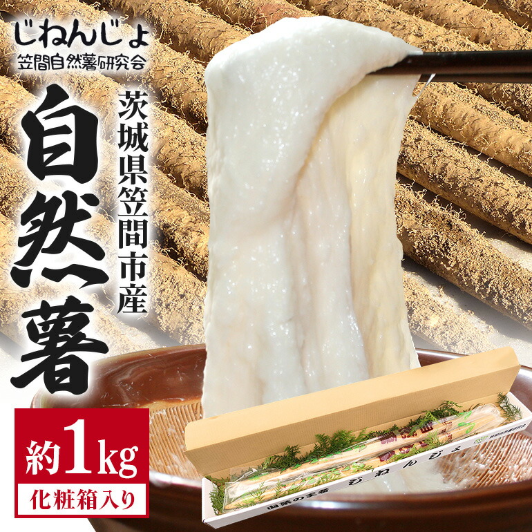 【ふるさと納税】自然薯 約1kg 自然薯 長芋 山芋 とろろ とろろご飯 野菜 ねばねば 健康食品 美容効果 笠間市産 茨城県産 栄養たっぷり ギフトに最適 新鮮 国内生産 高級根菜 美容 健康 美味しい 産地直送  滋養強壮