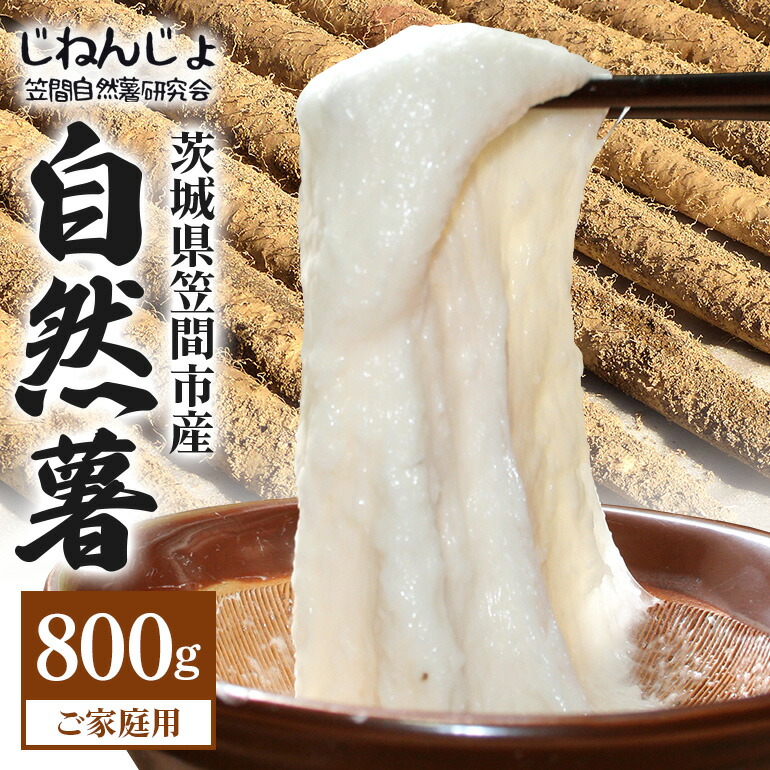 【ふるさと納税】自然薯 ご家庭用 約800g 笠間自然薯研究会 自然薯 長芋 山芋 とろろ とろろご飯 野菜 ねばねば 健康食品 美容効果 笠間市産 茨城県産 栄養たっぷり ギフトに最適 新鮮 国内生産 高級根菜 美容 健康 美味しい 産地直送  滋養強壮