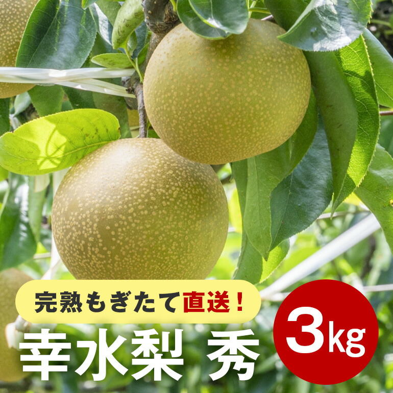 【ふるさと納税】【先行販売/8月中旬から発送】 幸水 梨 秀 3kg 6～10個入 (アカツファーム)  ナシ なし 幸水梨 ギフト 贈答用 秀品 産地 茨城  笠間  完熟 甘い 秋 旬 果物 フルーツ 果汁 新鮮 デザート くだもの ジューシー 秋の味覚 旬の果物 産地直送 茨城県 笠間市