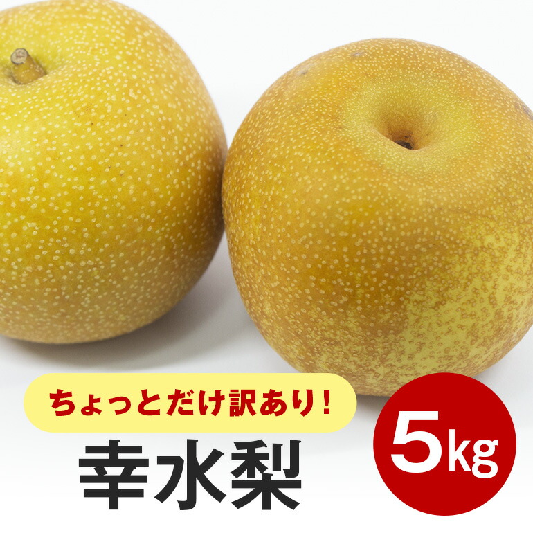 【ふるさと納税】【先行販売/8月中旬から発送】 幸水 梨 ちょっとだけ訳あり 5kg箱 10～16個入 (アカツファーム)  ナシ なし 幸水梨 箱 訳あり 訳アリ 産地 茨城  笠間  完熟 甘い 秋 旬 果物 フルーツ 果汁 新鮮 デザート くだもの ジューシー 秋の味覚 旬の果物 産地直送
