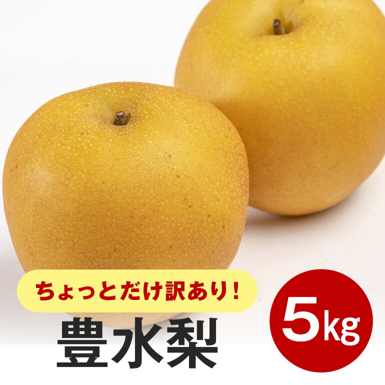 【ふるさと納税】【先行販売/9月上旬から発送】 豊水 梨 ちょっとだけ訳あり 5kg箱 8～14個入 (アカツファーム) ナシ なし 幸水梨 箱 訳あり 訳アリ 産地 茨城 笠間 完熟 甘い 秋 旬 果物 フルーツ 果汁 新鮮 デザート くだもの ジューシー 秋の味覚 旬の果物 産地直送